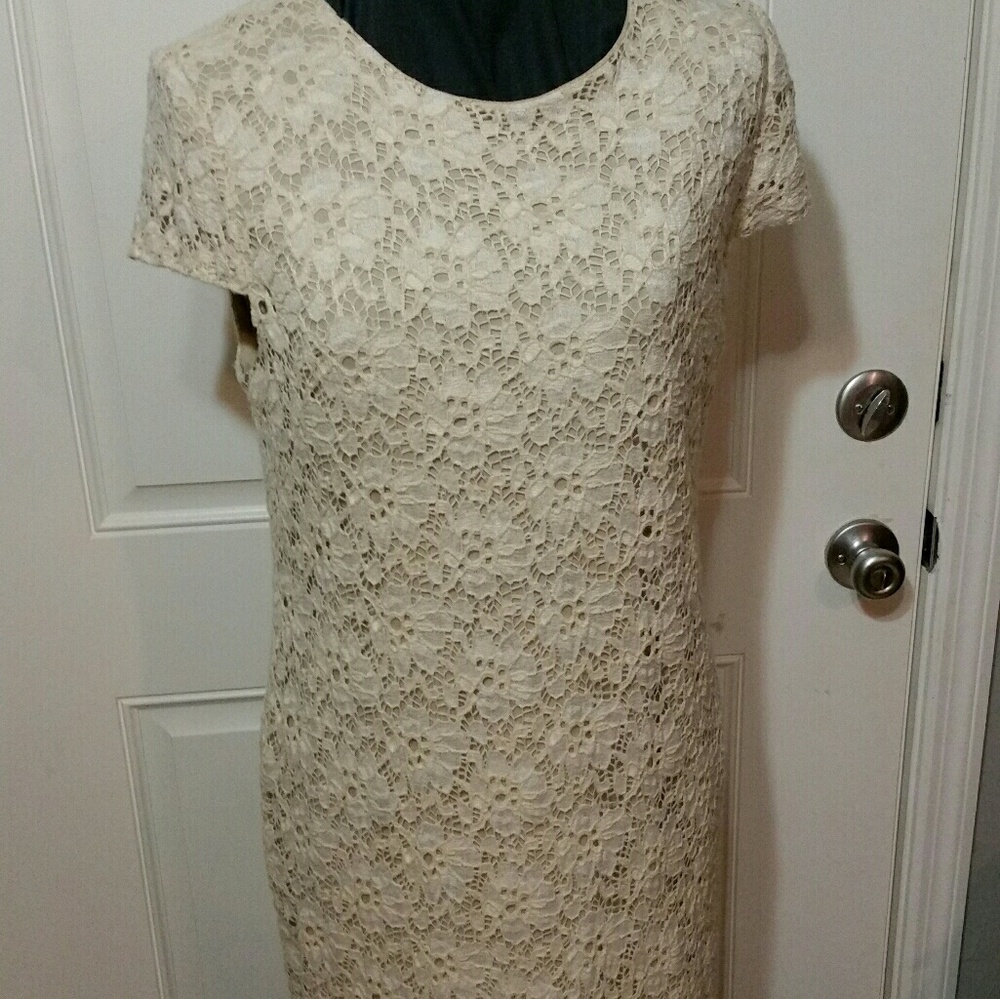 Suzy Chin stretch lace dress